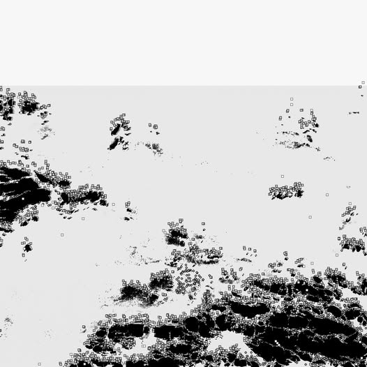 Bot1500 — The Black Sea