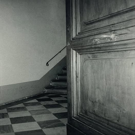 Cancer House — The Moth