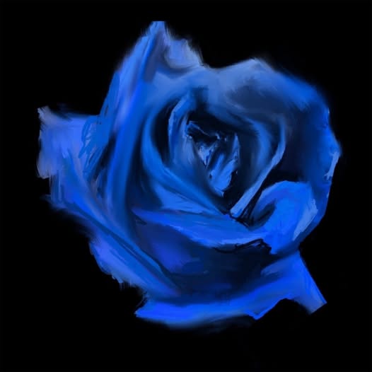 Current Joys — Rosebud