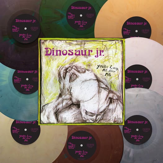 Dinosaur Jr. — You're Living All Over Me