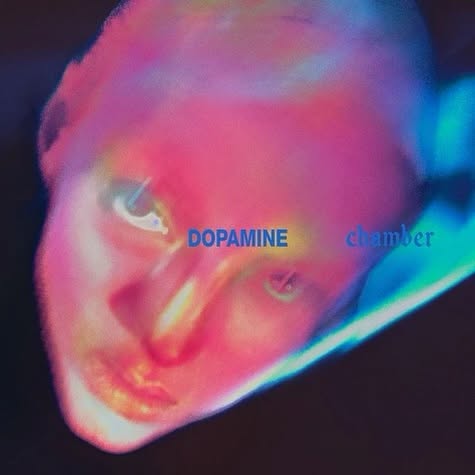 Fontaines D.C. — Dopamine Chamber
