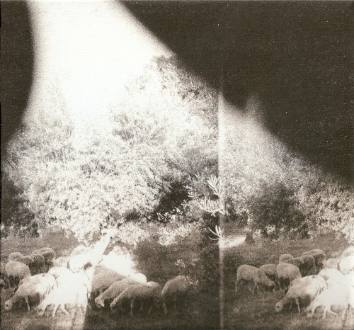 Godspeed You! Black Emperor — Asunder, Sweet and Other Distress