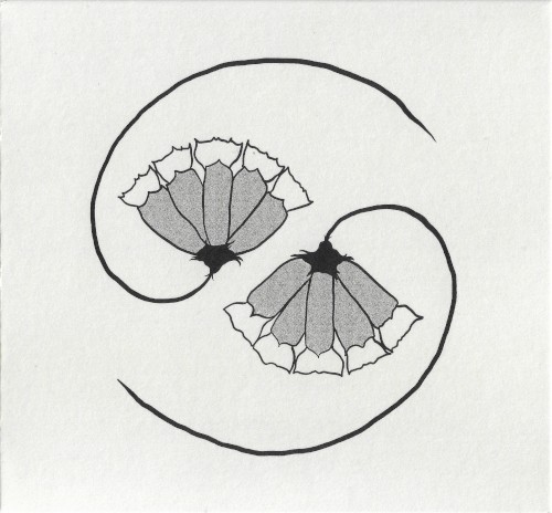 Godspeed You! Black Emperor — G_d's Pee at State's End!