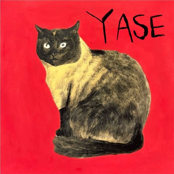 HIMI — YASE