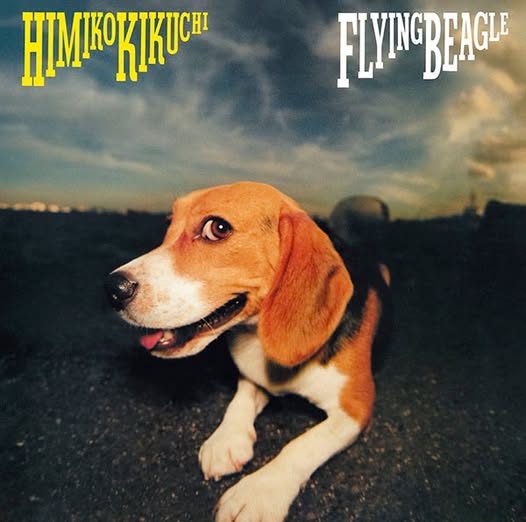 Himiko Kikuchi (菊池ひみこ) — FLYING BEAGLE
