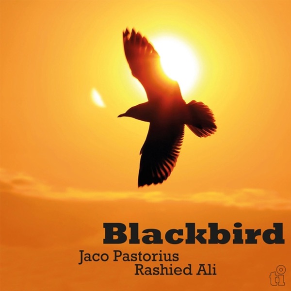 Jaco Pastorius & Rashied Ali — Blackbird