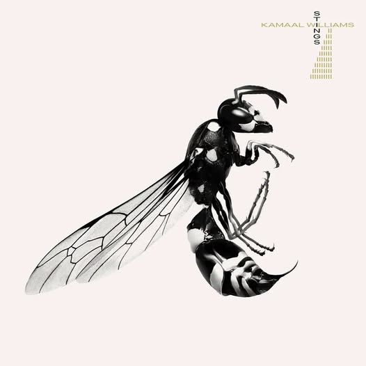 Kamaal Williams — Stings