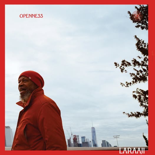 Laraaji — Openness