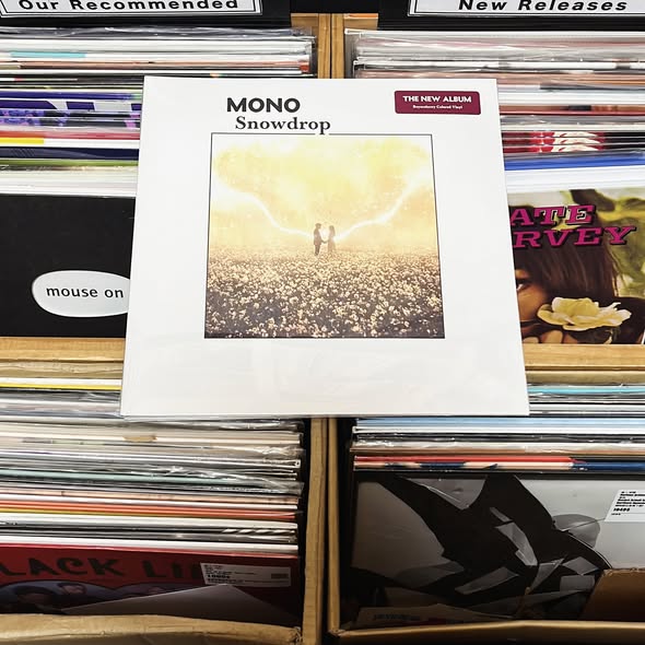 MONO — Snowdrop