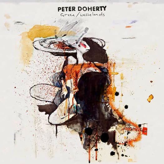 Pete Doherty — Grace/Wastelands