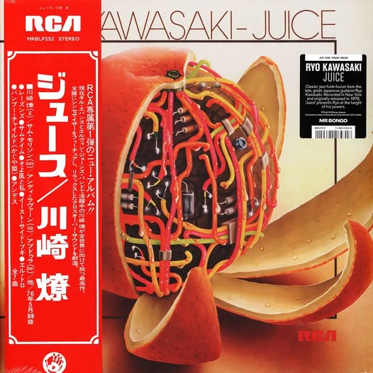 Ryo Kawasaki (川崎燎) — Juice