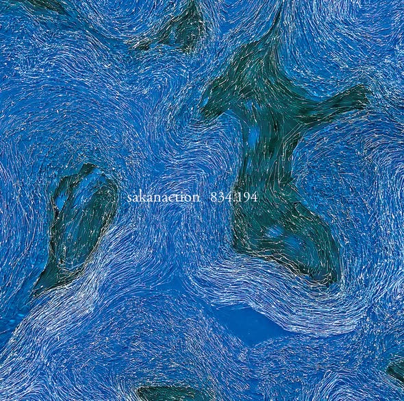 Sakanaction (サカナクション) — 834.194