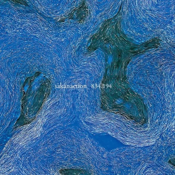 Sakanaction (サカナクション) — 834.194