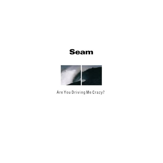 Seam — Are You Driving Me Crazy?