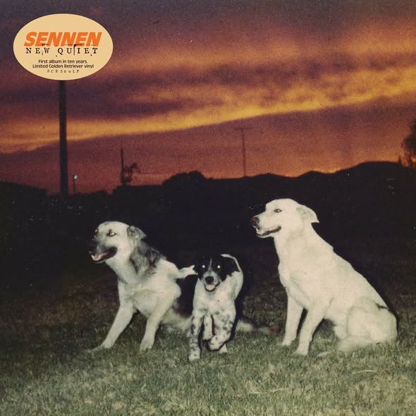 Sennen — New Quiet