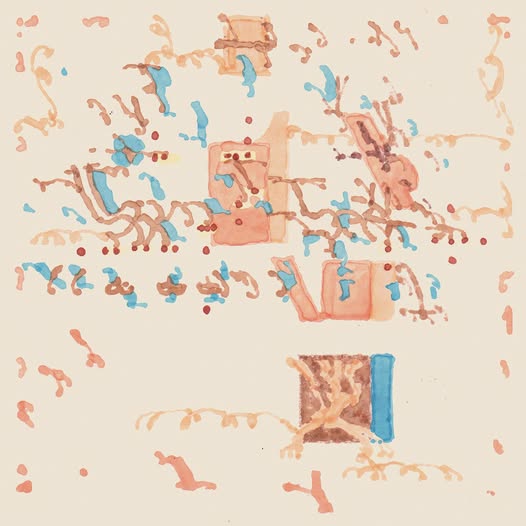 Shakali — Toinen Luonto