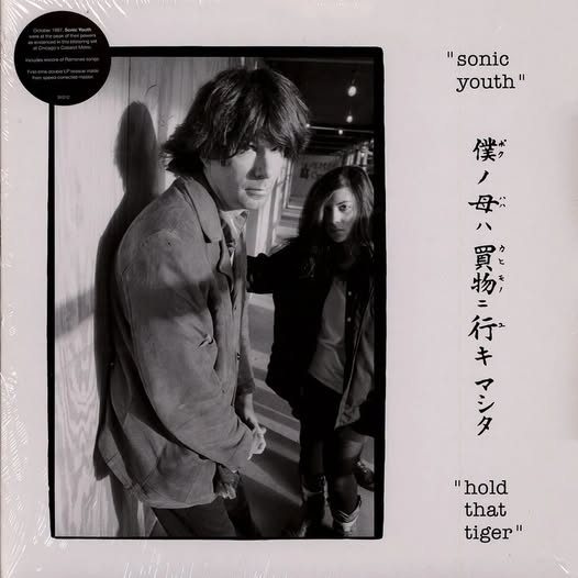 Sonic Youth — Hold That Tiger