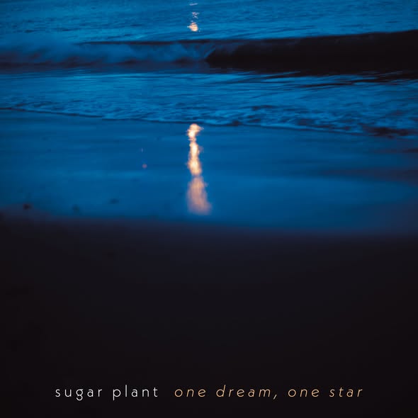 sugar plant — one dream, one star