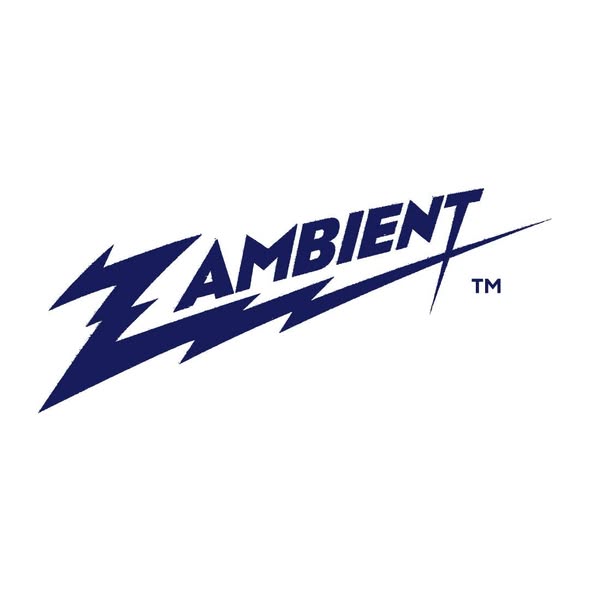 TOWA TEI — ZAMBIENT