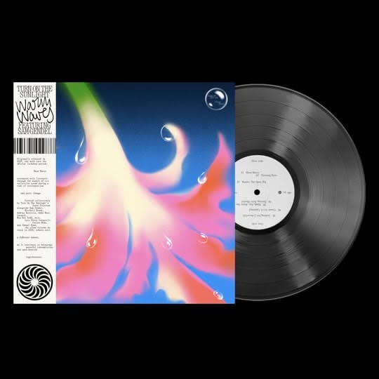 Turn On The Sunlight (Featuring Sam Gendel) — Warm Waves