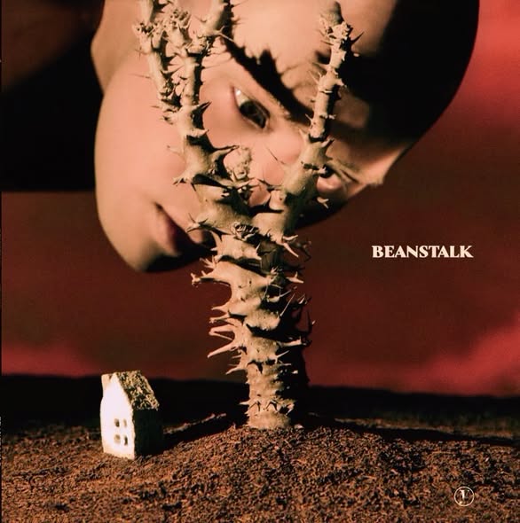 YELLOW (黃宣) — BEANSTALK
