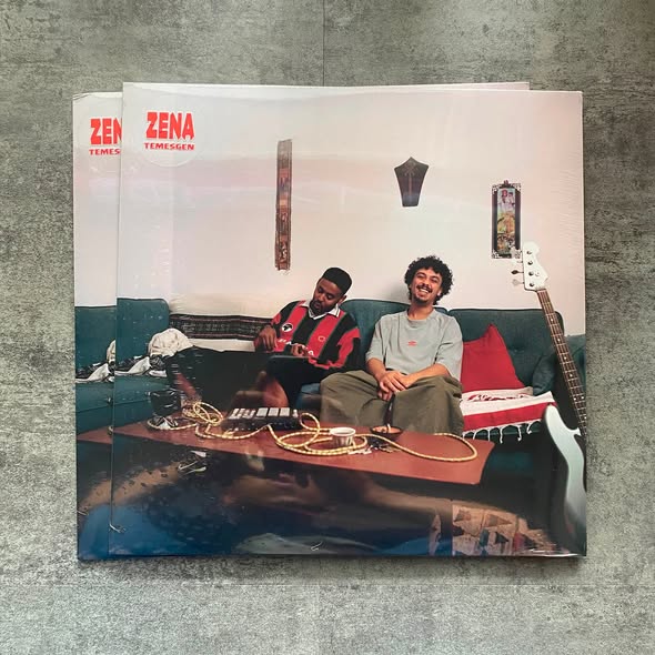 ZENA — Temesgen