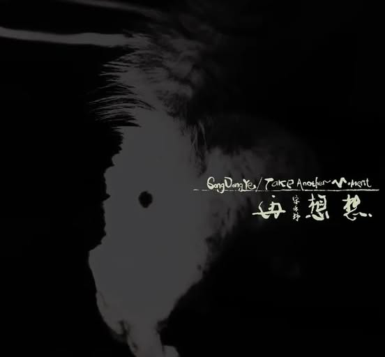 宋冬野 (Song Dongye) — 再想想 (Think Again)